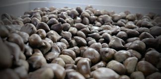 Autentici per natura