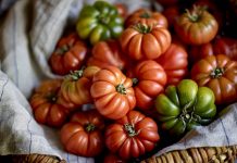 L’indicazione geografica dei prodotti agroalimentari identitari