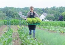 Verso il 2030, prospettive e tendenze dell’agricoltura europea